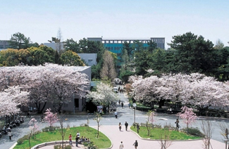 富士国际语学院